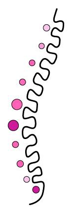 Sherry Physical Therapy, LLC